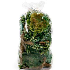 Natural Tones Succulents Vase & Bowl Fillers Green Decorative Balls | Home Decor